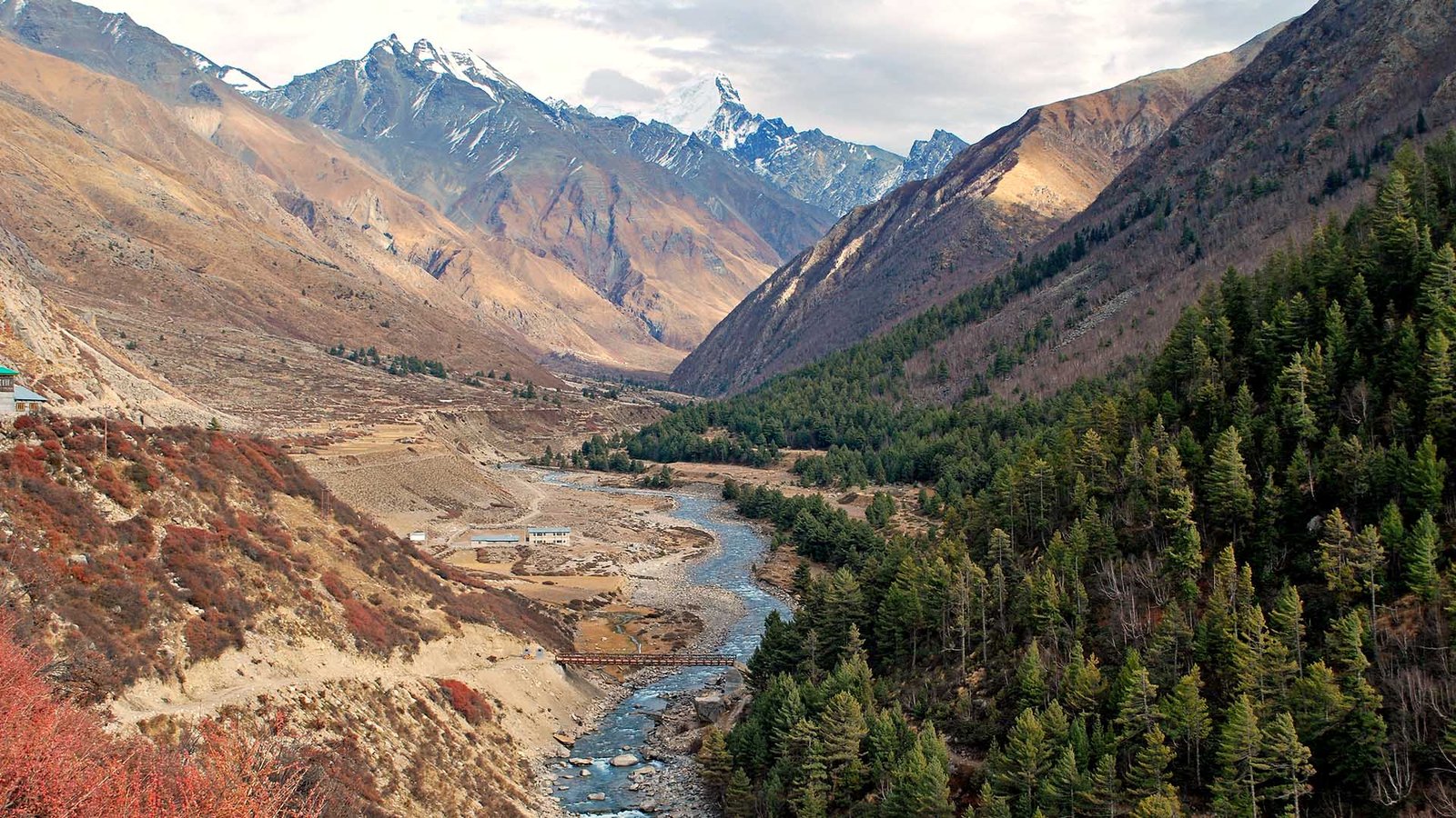 Tso Moriri Lake - Spiti Life